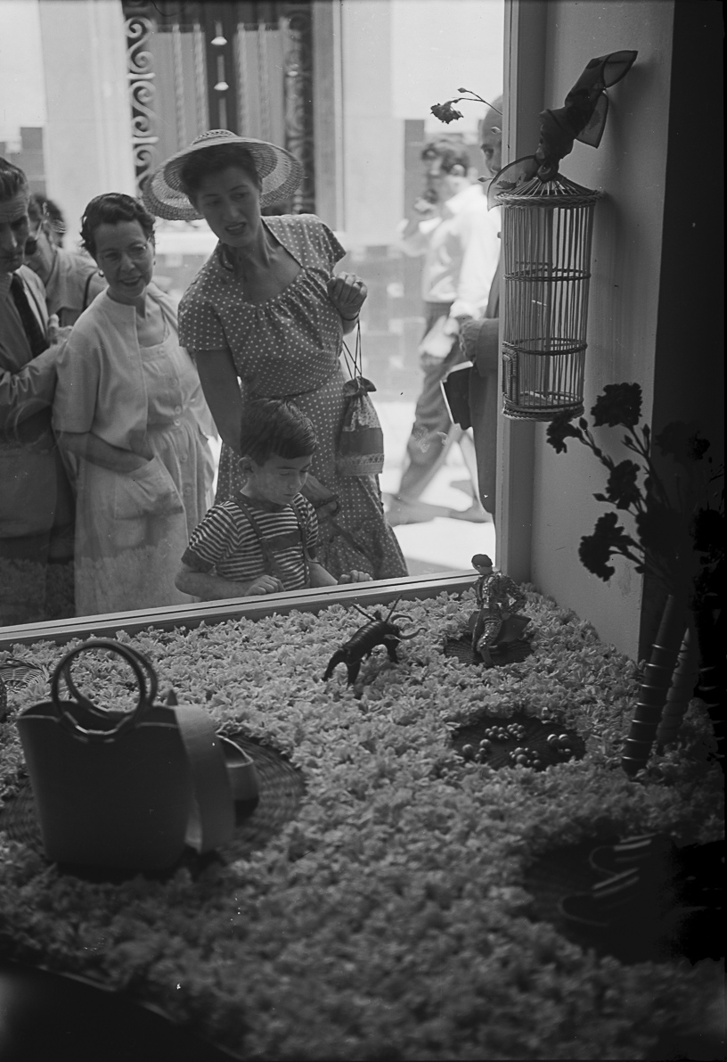 Elaboració de catifes de flors amb motiu del Corpus. Sitges. Barcelona, 1955