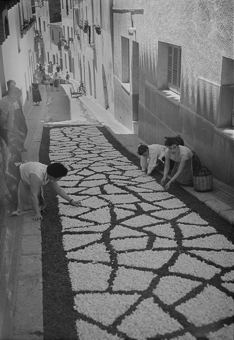 Elaboración de catifes de flores amo motu del Corpus. Sitges. Barcelona, 1955